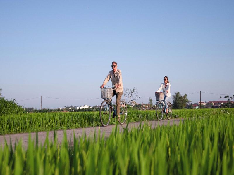 Muca Hoian Co Living Work Retreat image
