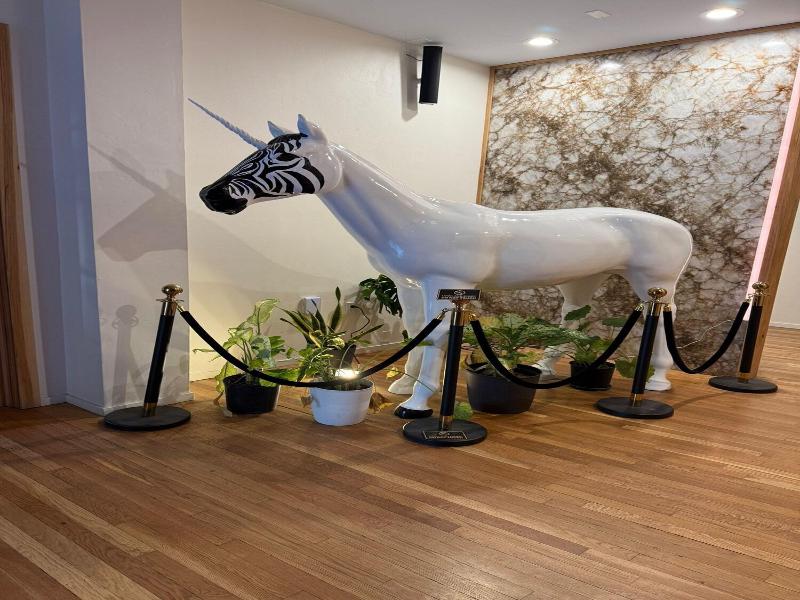 Unicorn Zebra image