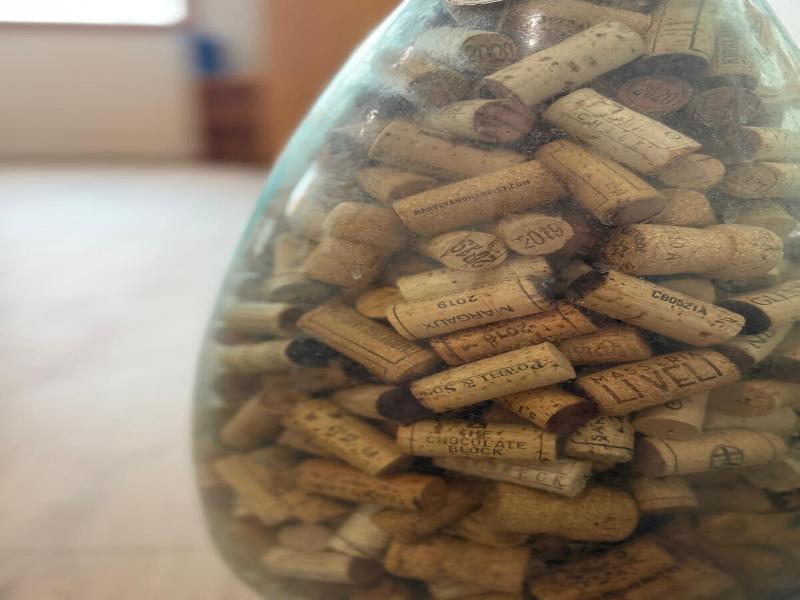 Unicorn Zebra image