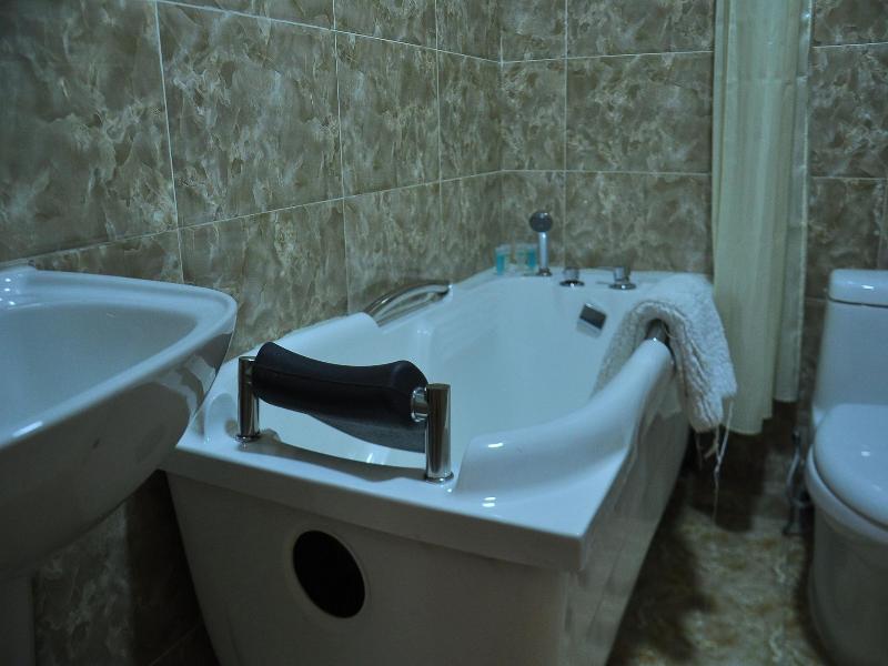 Alpha Hotel Mongolia image