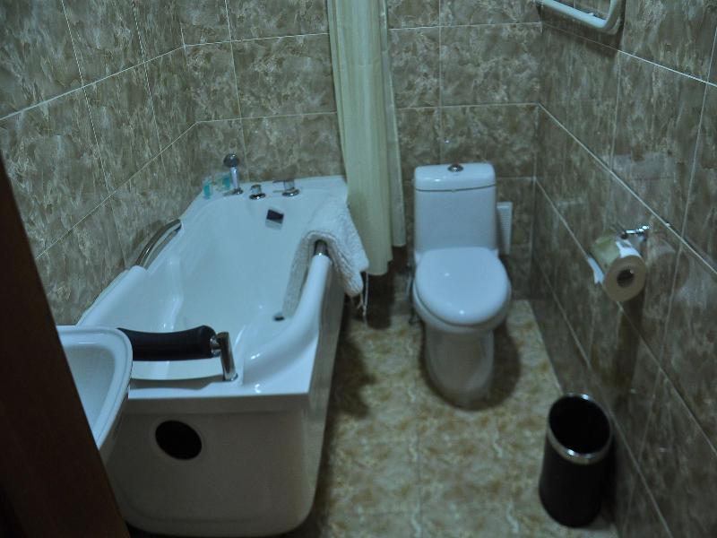 Alpha Hotel Mongolia image
