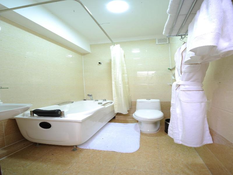 Alpha Hotel Mongolia image