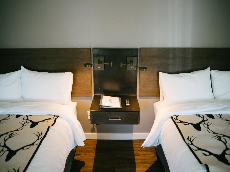 Terra Nova Cabins image