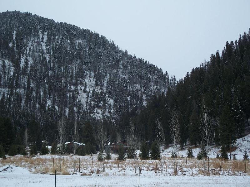 Terra Nova Cabins image