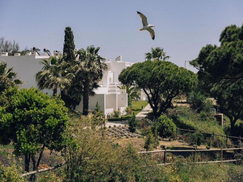 Masana Algarve A Destination By Hyatt image