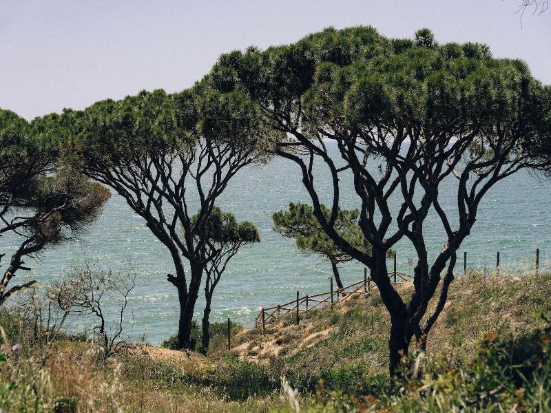 Masana Algarve A Destination By Hyatt image