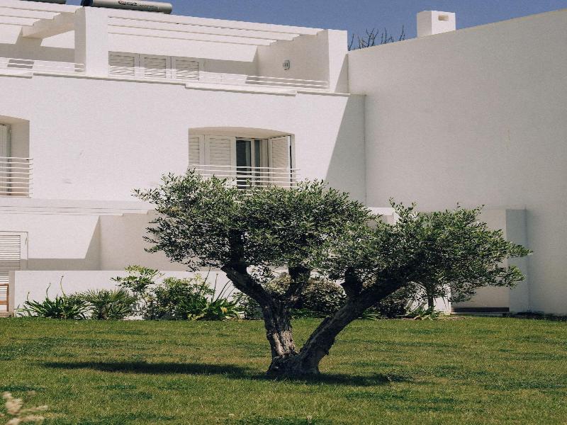 Masana Algarve A Destination By Hyatt image