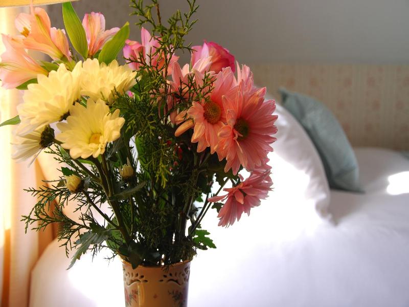 Spring Hill Inn image