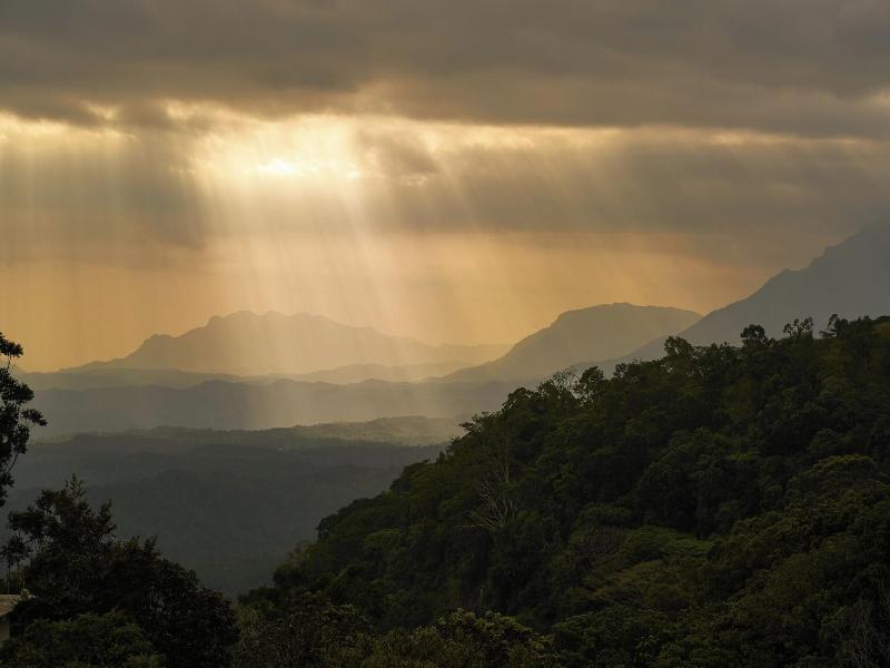 Wishing Tree Boutique Resort Haputale image