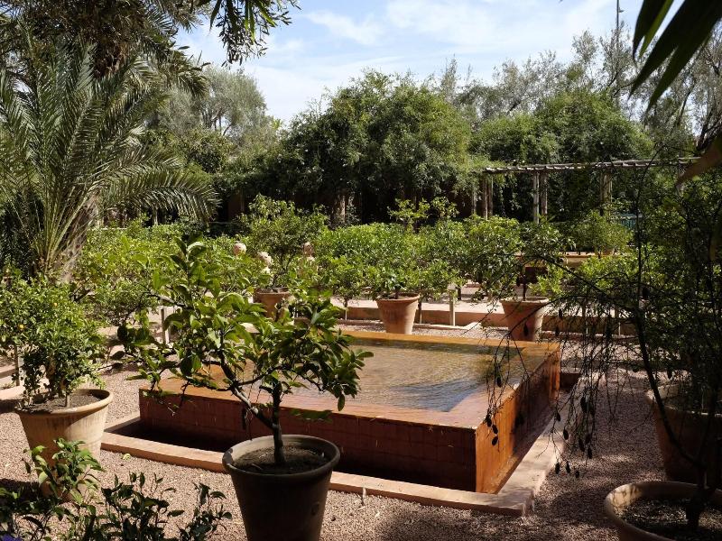 Riad Tazzori image