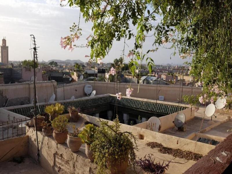 Riad Tazzori image