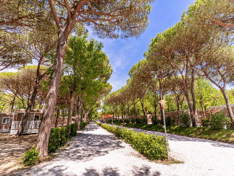 Hotiday Lodge Viareggio image