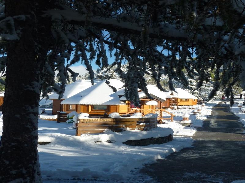 Dalailama Village image