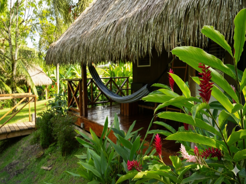 Hotel Central Bocas Del Toro image