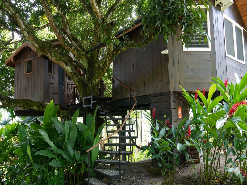 Hotel Central Bocas Del Toro image