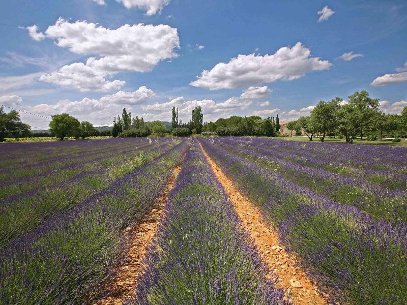 Ibis Budget Pertuis Portes Du Luberon image