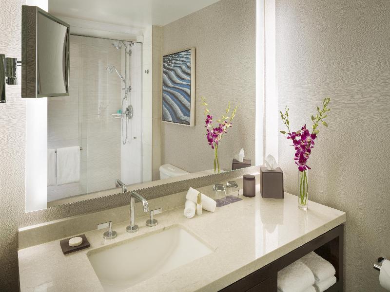Hyatt Regency San Francisco Airport image