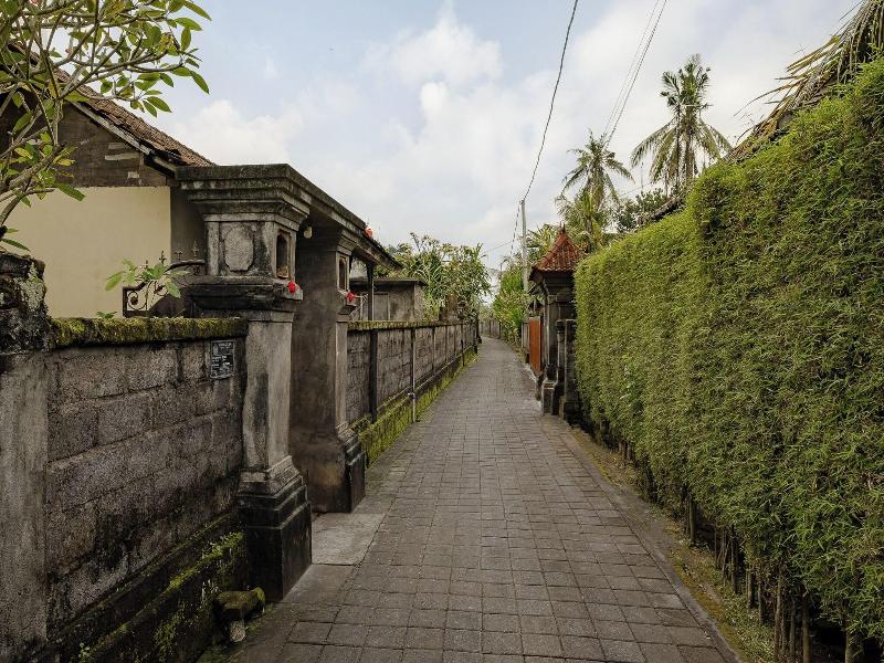 Yanyan Resort Ubud image