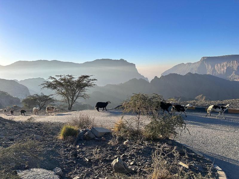 Hotel Indigo Jabal Akhdar Resort & Spa — general view