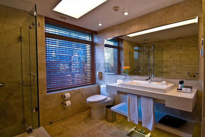 InterContinental Santiago image