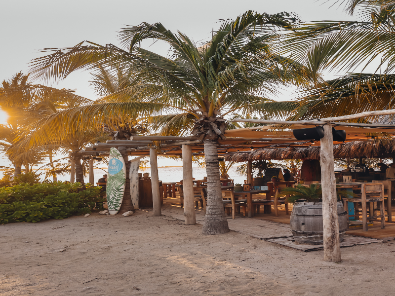 Chogogo Dive & Beach Resort Bonaire image