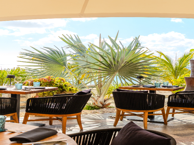 Chogogo Dive & Beach Resort Bonaire image