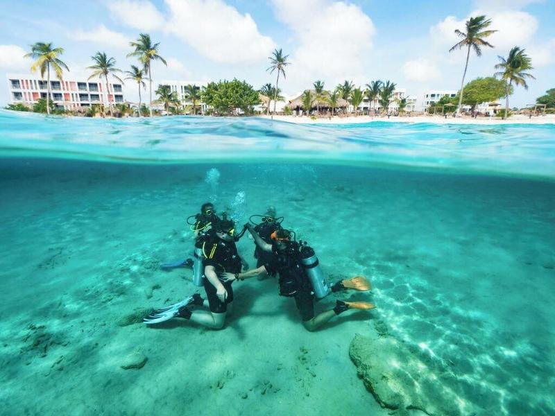 Chogogo Dive & Beach Resort Bonaire image