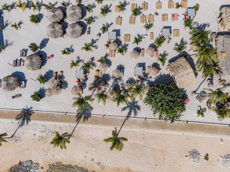 Chogogo Dive & Beach Resort Bonaire image