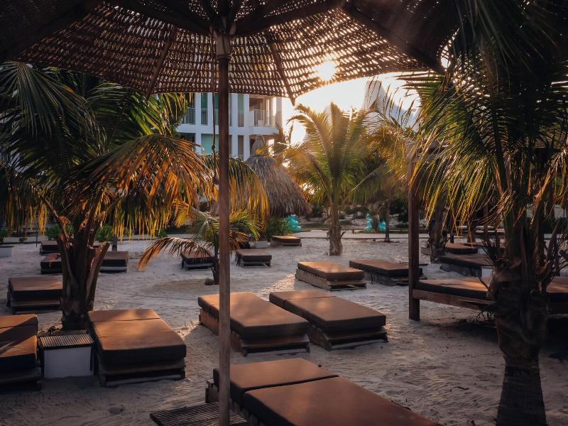 Chogogo Dive & Beach Resort Bonaire image