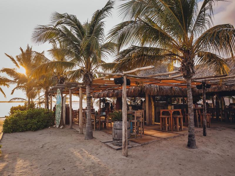 Chogogo Dive & Beach Resort Bonaire image