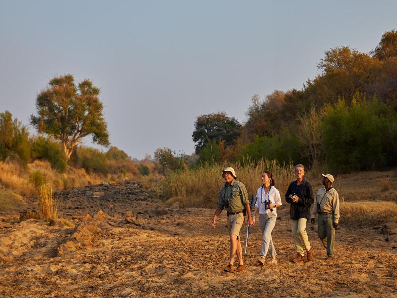 Toro River Lodge — view