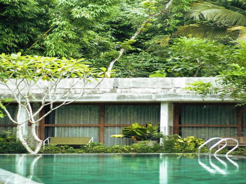 The Setumbu Experience Artotel Curated