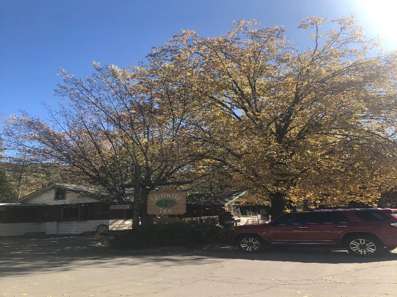 Idyllwild Inn image
