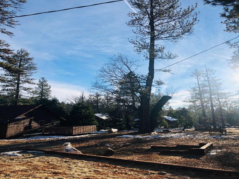 Idyllwild Inn image