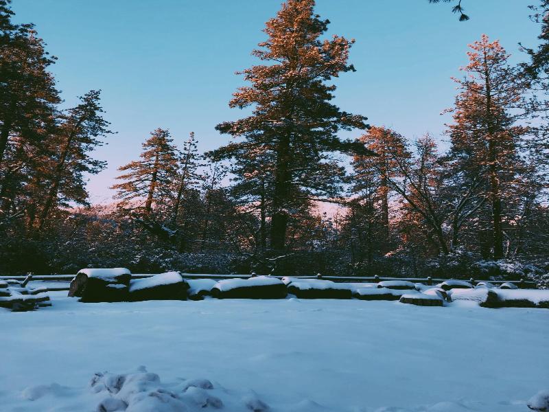 Idyllwild Inn image