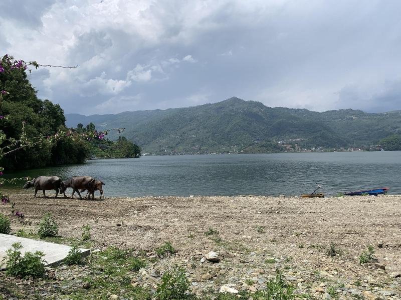 Hotel Fewa Trip image