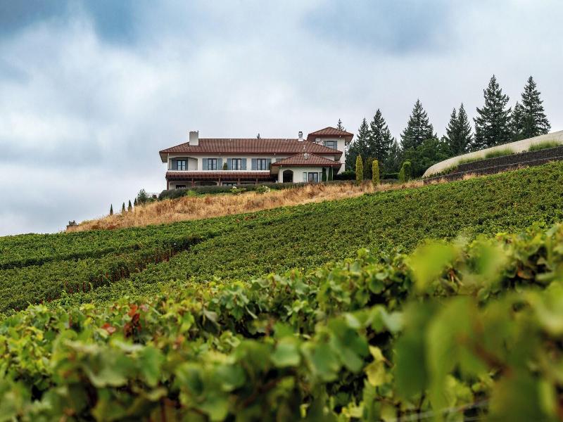 Black Walnut Inn Vineyard image