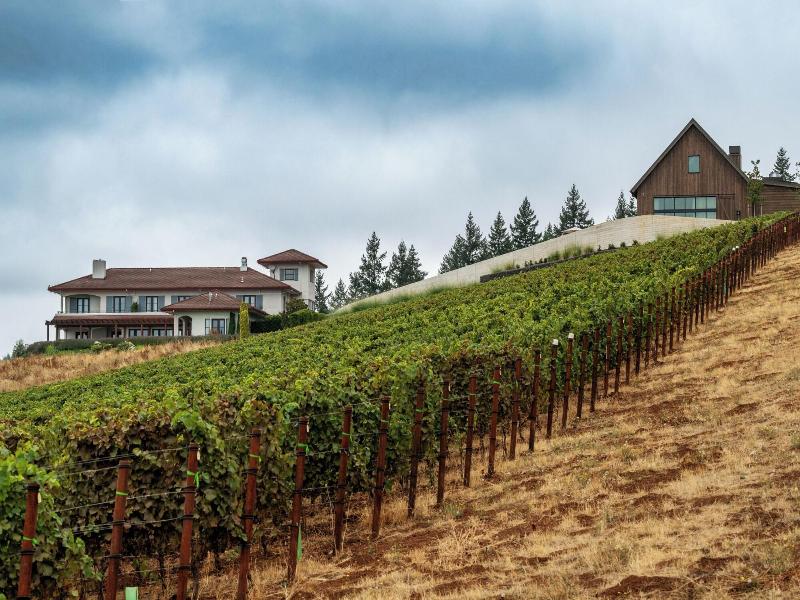 Black Walnut Inn Vineyard image