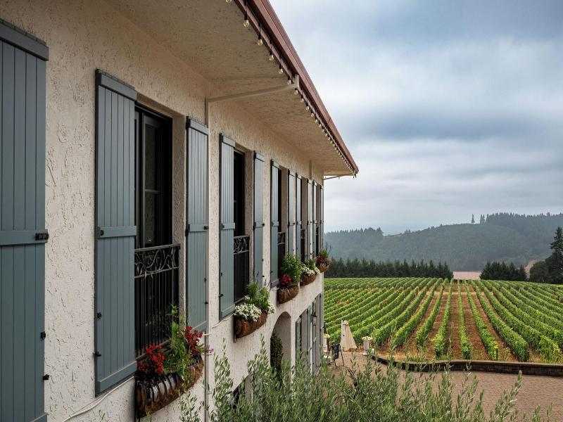 Black Walnut Inn Vineyard image