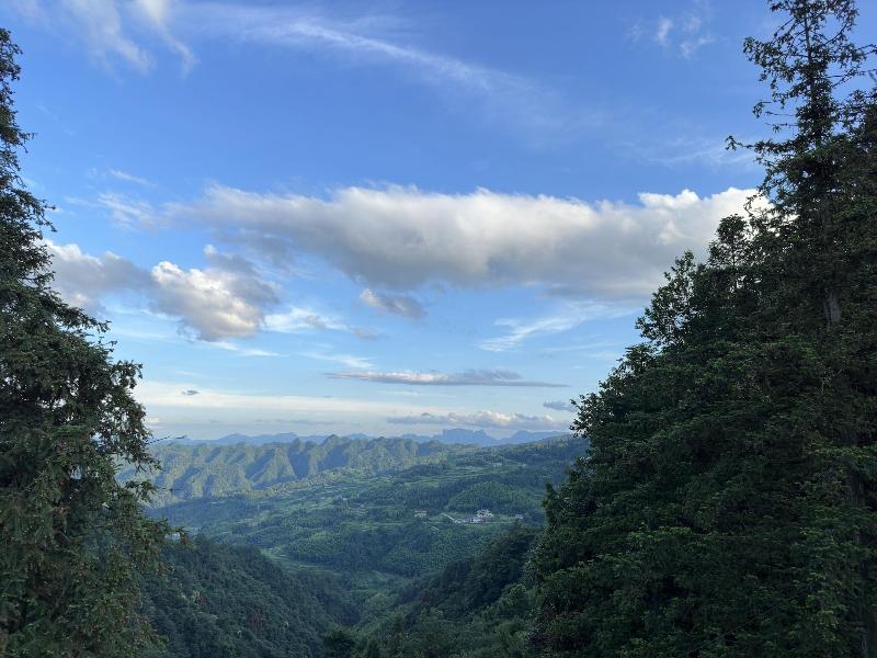 Zhangjiajie National Park Nvue Resorts