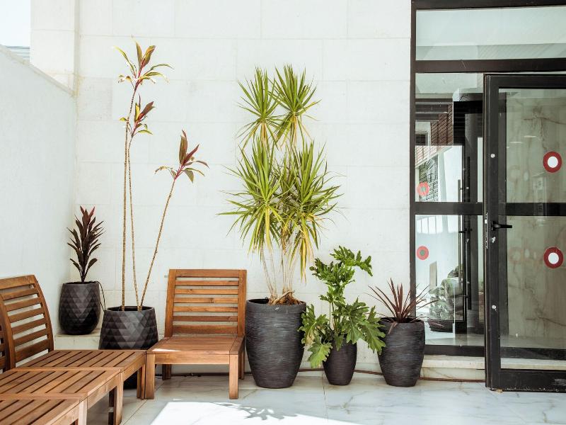 Herzl Boutique