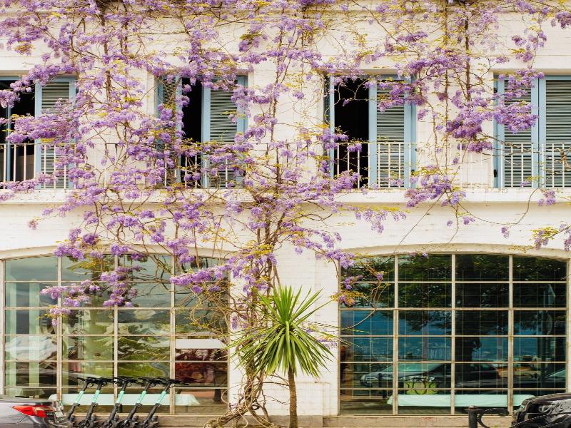 Rooms Hotel Batumi image