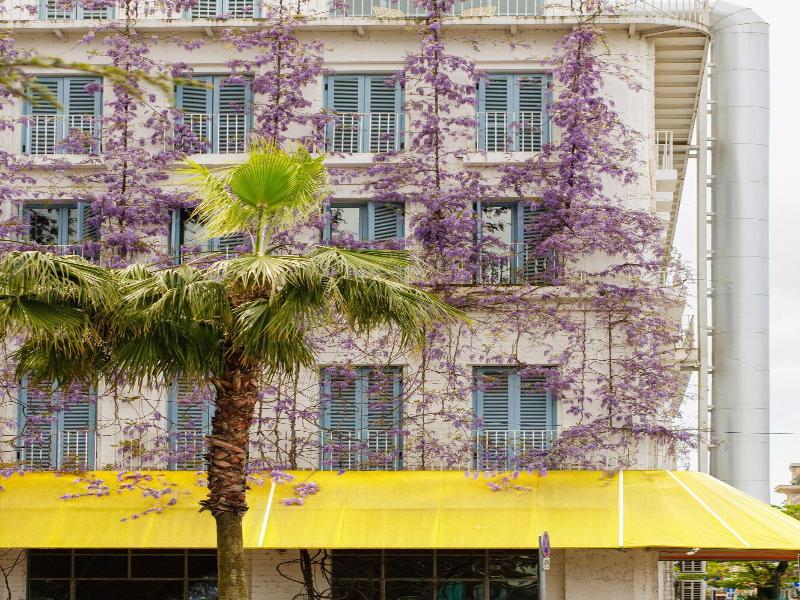 Rooms Hotel Batumi image