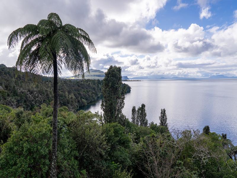 Oreti Collection -by Vacations In Paradise — general view