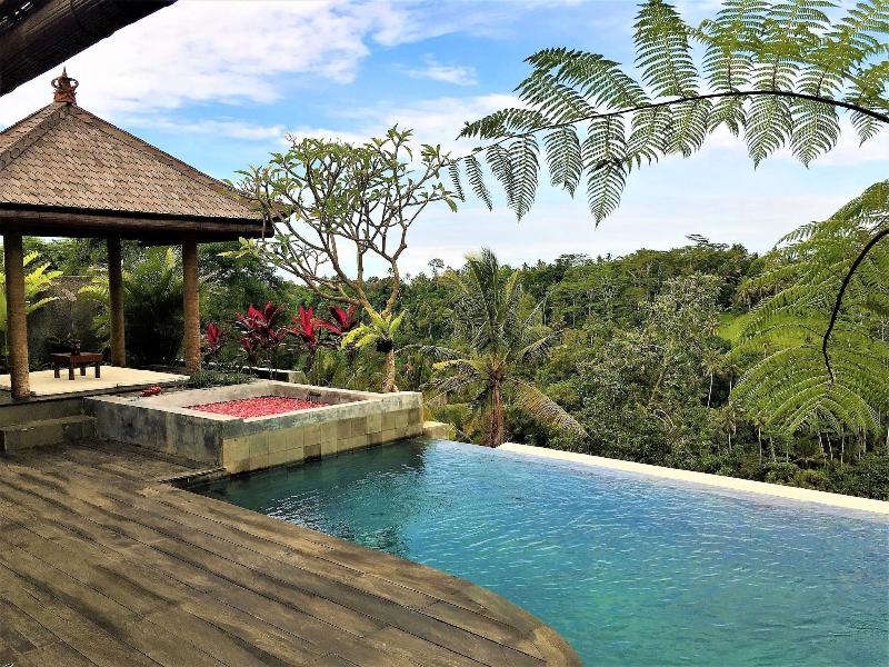 Ayuterra Resort image