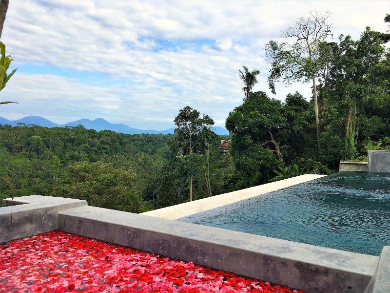 Ayuterra Resort image