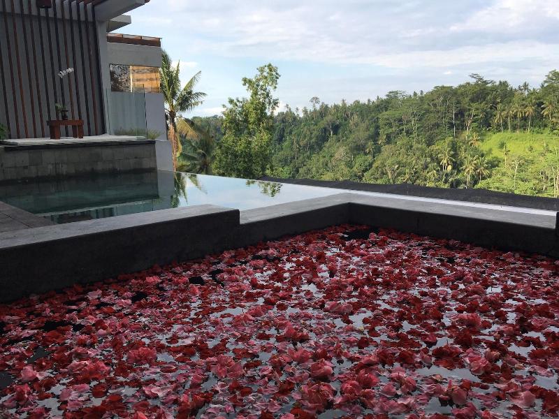 Ayuterra Resort image