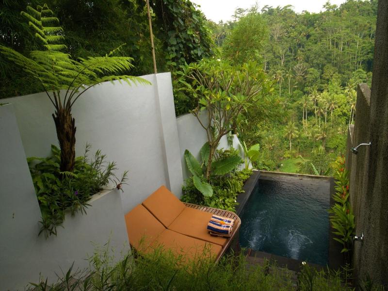 Ayuterra Resort image