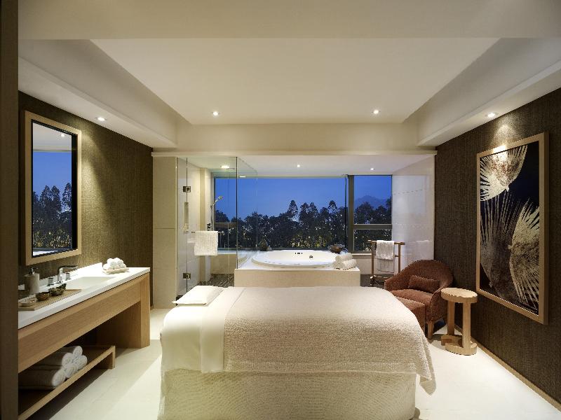 Hyatt Regency Hong Kong Sha Tin image