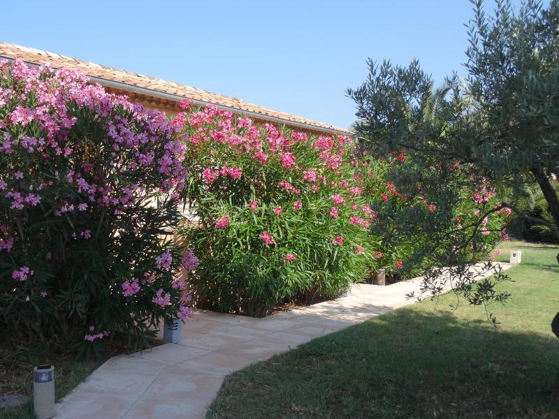 Chambres D'hôtes Villa Alizé image